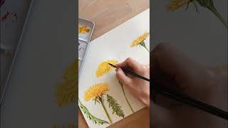 Dandelion Flower Painting #art #shorts #watercolor