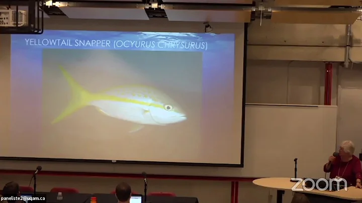 July 6 - 11:00 AM - Jennifer Mather: Do Squid Have...