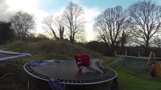 Backflip 360 Attempt