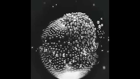 DAILY YEAR C4D  | Abstrakte X-Particles "Sog" Simulation | C4D & Arnold Render Short