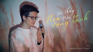 TÔI THẤY HOA VÀNG TRÊN CỎ XANH (Japanese Cover) | KOI MUSIC ft. Duy Tùng Lê