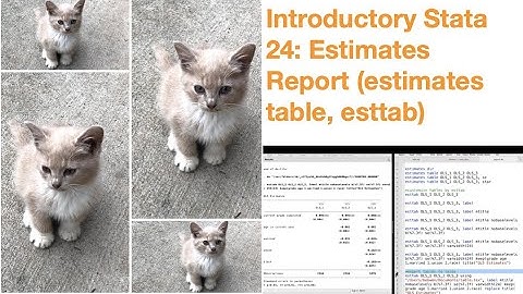 Introductory Stata 24: Estimates Report (estimates table, esttab)