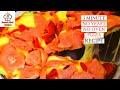 Homemade Pizza Hack 🍕 No Yeast, No Oven! | Easy Recipe by Maryann &amp; ECR