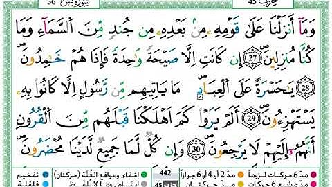 حمزة الجزائري سورة يس مكتوبة برواية ورش عن نافع360P