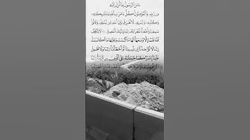 #سورة_البقرة #اكسبلور #القزابري #حالات_واتس #المصحف #تيك_توك #الرحمن #duet #الورقات #دويتو #البرزخ