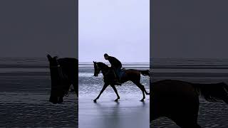 Horseback riding on the beach 2023