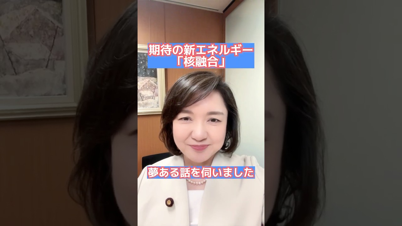 地球に太陽をつくるという「核融合」Helical　Fusionの田口たかや社長から、夢あるお話を伺いました。 #公明党 #竹谷とし子 #核融合 #ヘリカルフュージョン　#新エネルギー