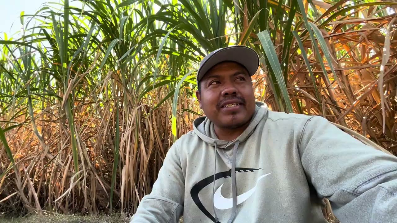 Si trabajas en el campo, tienes que tener esta herramienta 😱