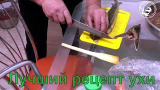 Царская уха. Готовим уху из стерляди. Рецепт от Аксакала. Принципы приготовления ухи с икрой сазана. Царская уха. Готовим уху из стерляди. Рецепт от Аксакала. Принципы приготовления ухи с икрой сазана.