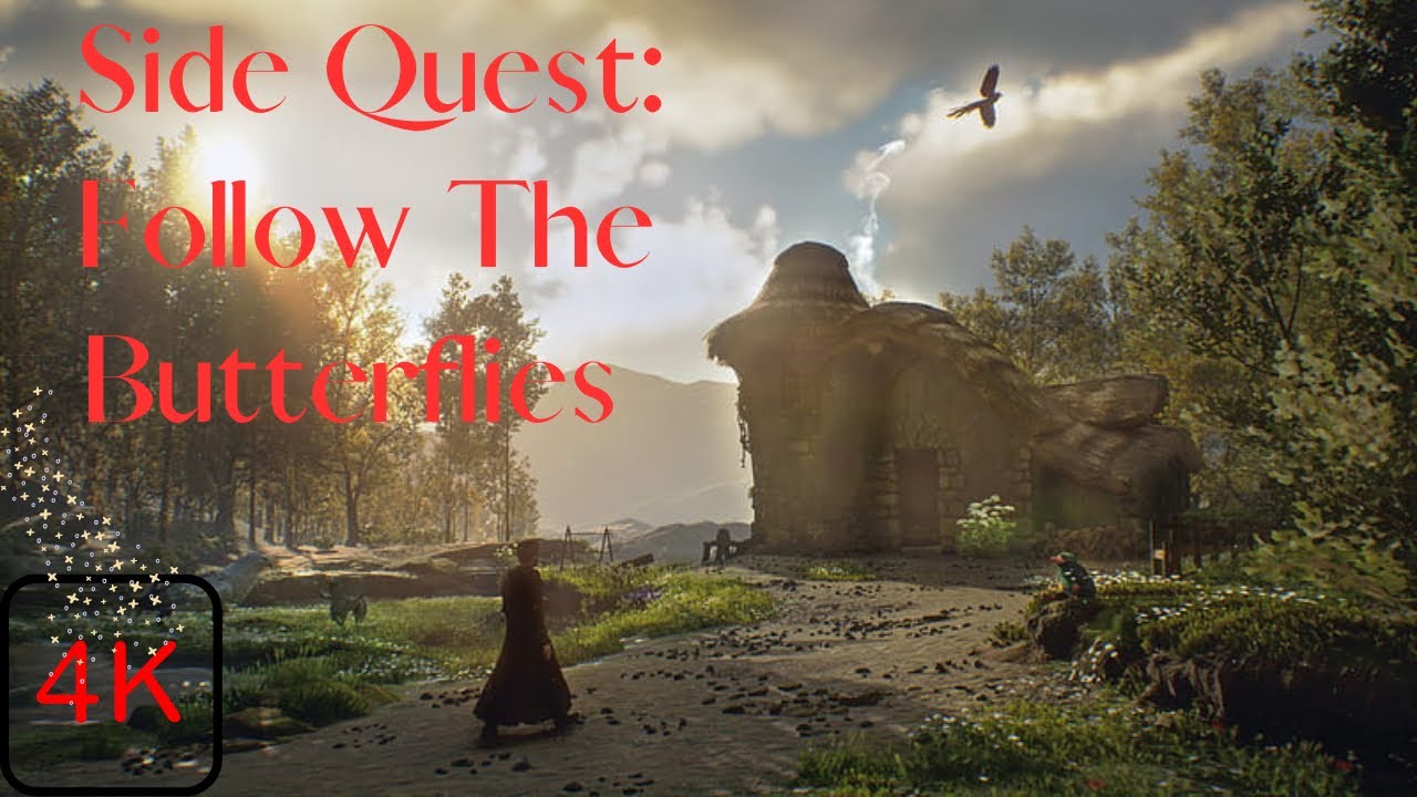 Side Quest Follow The Butterflies Hogwarts Legacy PS5 4K UHD 60 FPS