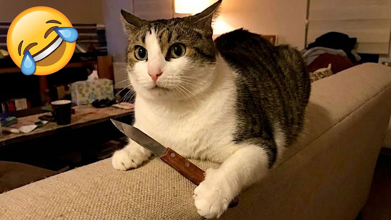 Новые Забавные Животные 😂 Самые Смешные Кошки И Собаки 2026 Года 😂🤣 Часть 1