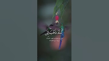 الشيخ عبدالباسط عبدالصمد سورة القيامة #اكسبلور #الشيخ_عبدالباسط_عبدالصمد