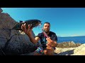 Issız Ada'da Balık Yakaladım , bu balıklar KAPKARA !! Yakala Pişir Balık Avı - Bölüm 182