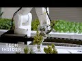 How This Robotic Farm Is Reimagining Agriculture