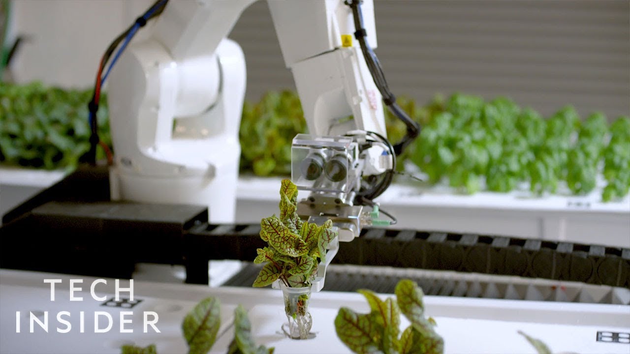 How This Robotic Farm Is Reimagining Agriculture Youtube