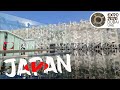 Japan Pavilion Expo 2020 Dubai