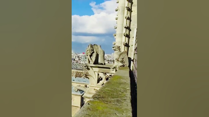 Paris top view from Notre Dame de Paris - awesome view of Paris #paris #eiffeltower #notredame #top
