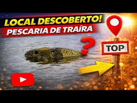I discovered a place packed with traíras (a type of fish), fishing.
