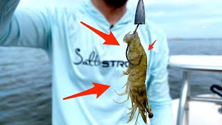 In this video, i’m going to show you how rig shrimp weedless. yes,
heard that right… a weedless live shrimp. here’s why having is
so...