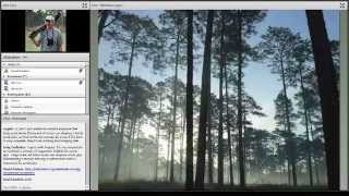 SFE Webinar: Burning for Birds - Fire and Southeastern Habitat Management