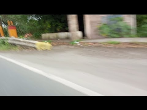 Go Ng go rides
