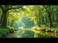 Gentle Relaxing Music 🌿 Soothing Piano Music Helps Heal the Soul, Nature Sounds for Stress Relief #3
