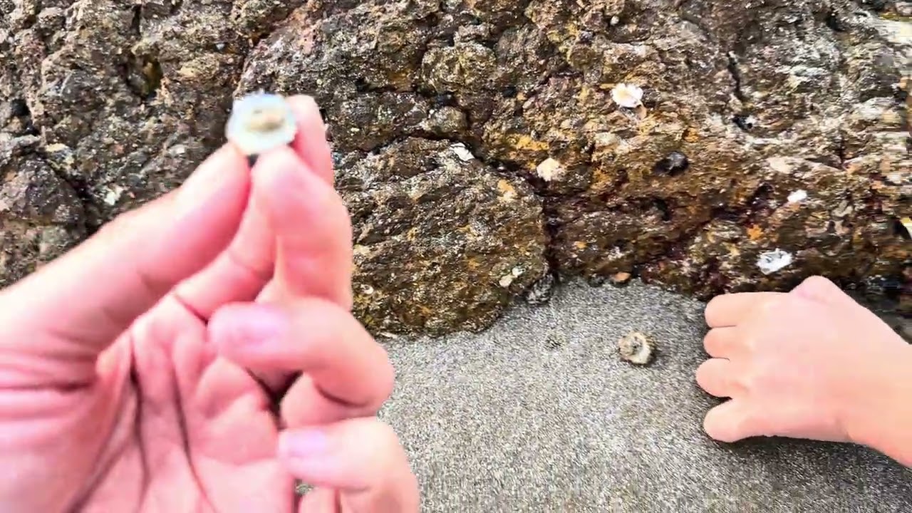 5:30AM đi tìm kiếm hi vọng ở làng chài bãi sau Mũi Né,ai ngờ tìm được nhiều…rác#canhcakhoainaungot 