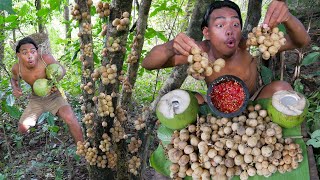 Forest Survival Skills: Know Where to Find Longan Fruit for Food