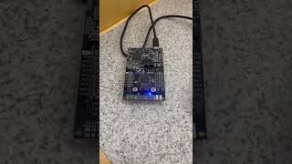 Lab 6 - Task 4 Net Worth