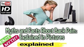 Myths and Facts About Back Pain Explained in Pictures by Medical.Animation.Videos.Library 166 views 5 years ago 2 minutes, 59 seconds