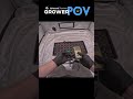 Grower POV: Germinating Seeds - Part 2 #shorts