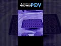 Grower POV: Germinating Seeds - Part 2 #shorts