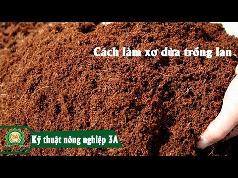 [Kỹ thuật nông nghiệp] XƠ DỪA TRỒNG LAN và cách làm giá thể cho cây trồng | Foci