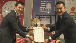 みえの国観光大使に柴犬まる 三重県が就任式