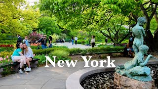 NYC WALK [4K] Upper East Side, Tulips at Central Park Garden, Park Ave, Madison Ave (April 2024)