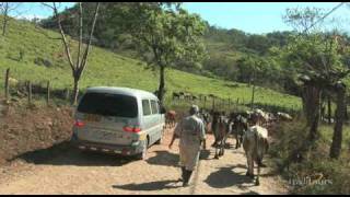 Voyages au Costa Rica