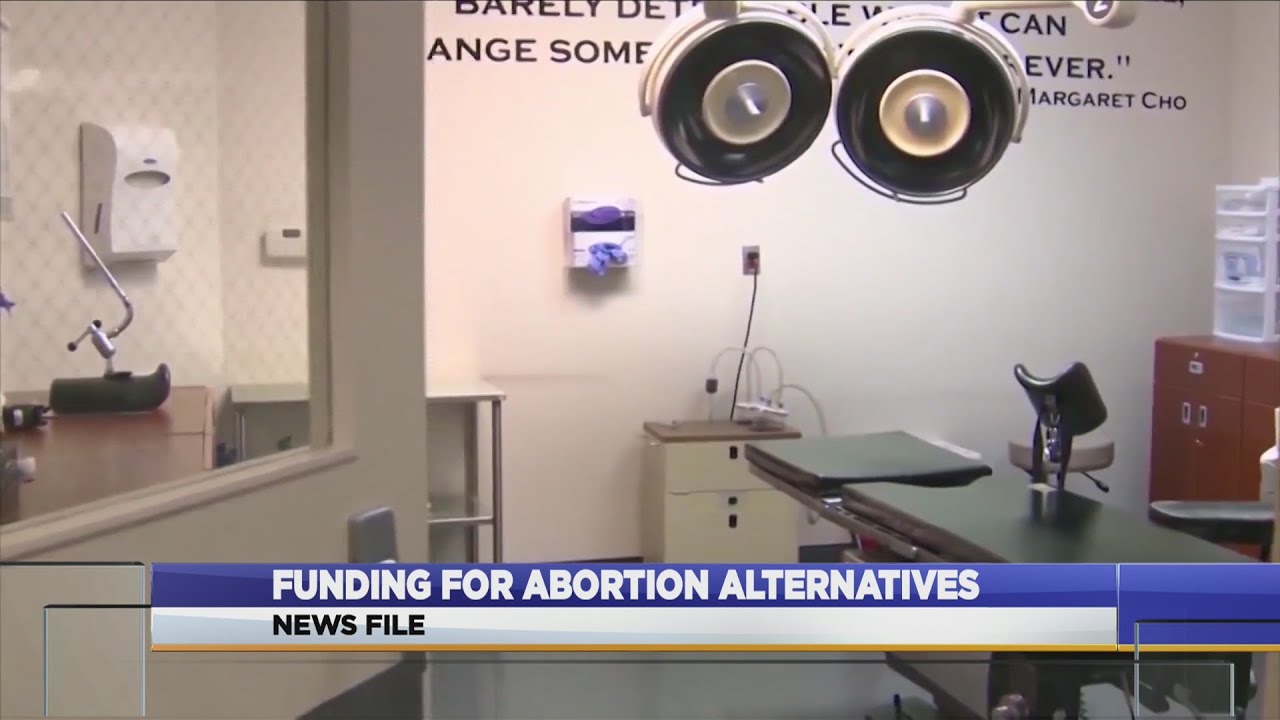 Funding for abortion alternatives