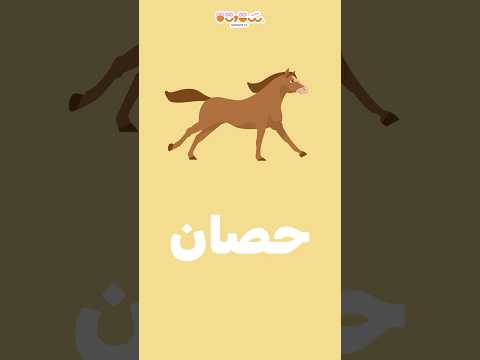 ح حاء أغنية حرف الحاء