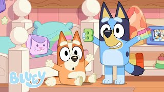 Tempo em Família com os Heelers | Bluey Português Brasil Canal Oficial