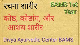 bams 1st year | कोष्ठ, कोष्ठांग, और आशय शारीर, | रचना शारीर, | rachna sharir lecture