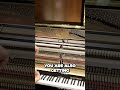 What Makes European Pianos Superior 