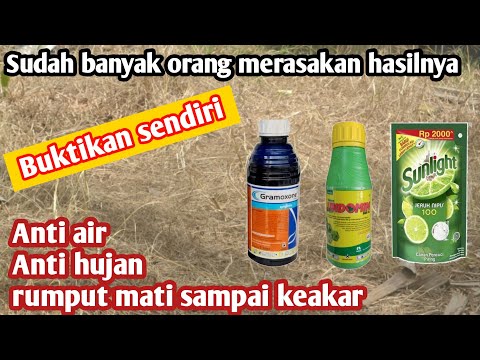 Video: Bagaimana cara mendapatkan lisensi saya untuk menyemprot rumput?