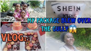 VLOG: My shein package blew over the gully😱| Birthday Celebration 🎉🎉| Wish scammed me| Re Nesha