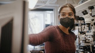 Welcome to Electrical and Computer Engineering at Princeton Net Worth