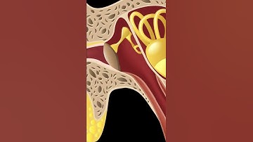 MIDDENOORVLOEISTOF UITGELEGD #Shorts