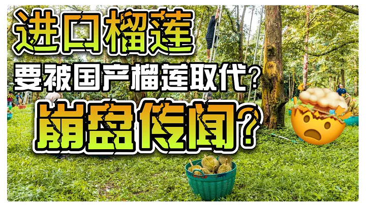 進口榴槤價格陷入「崩盤傳聞」，要被國產榴槤取代？ - 天天要聞