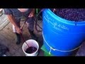 Homemade Italian Wine