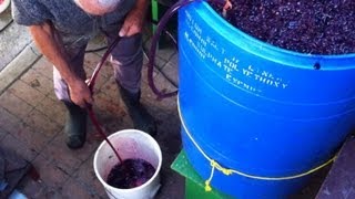 Homemade Italian Wine