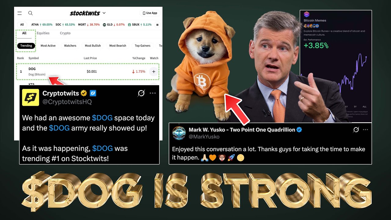 $DOG Strongest in MemeCoin Sector 😤