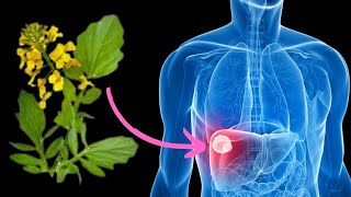 Forget liver inflammation! All the dirt comes out ~ Clean the liver in 3 days